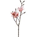 Floristik24 Gałąź magnolii magnolia sztuczny łosoś 58cm