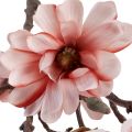 Floristik24 Gałąź magnolii magnolia sztuczny łosoś 58cm