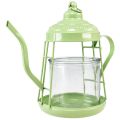 Floristik24 Świecznik na tealighty, szklana latarnia, czajniczek, zielony, Ø15cm, W26cm