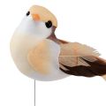 Floristik24 Ptaszek z piórami na drucie, ozdobny ptaszek z piórami pomarańczowo-brązowy 4cm 12szt