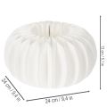 Obrączka papierowa w kształcie plastra miodu, dynia, okrągła, duża, do suszonych kwiatów i jesiennych dekoracji, 24 cm, 4 szt. | Floristik24.pl