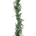 Floristik24 Girlanda dekoracyjna ze sztucznego eukaliptusa zielona 150cm