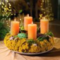 Achillea 500g naturalna | Floristik24.pl