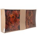 Achillea Orange suszone