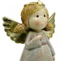 Floristik24 Dekoracja adwentowa, anioł stróż, anioł bożonarodzeniowy, figura anioła wys.24cm