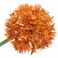 Floristik24 Allium ozdobne sztuczne pomarańczowe Ø7cm H58cm 4szt.