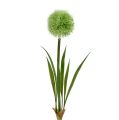 Floristik24 Allium zielony L37,5 cm 4 szt.