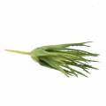 Floristik24 Aloe Vera sztuczny zielony 26cm