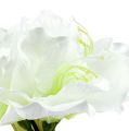 Floristik24 Amarylis Kwiat biały L 73cm 2szt.