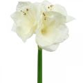 Floristik24 Sztuczny kwiat Amarylis biały Dekoracja świąteczna H40cm