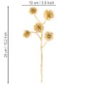 Sztuczna gałązka bursztynowa, złota dekoracja, 26 cm, pęczek 6 sztuk | Floristik24.pl