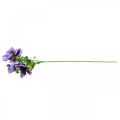 Floristik24 Sztuczny zawilec, kwiat jedwabiu, sztuczna roślina z kwiatami fioletowy L55cm