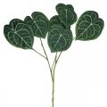 Floristik24 Sztuczne liście anturium Sztuczna roślina zielona 96cm