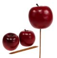 Floristik24 Sztuczne jabłko czerwone Ø7,5cm 6szt