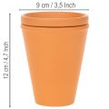 Zbiornik na wodę Aquasafe z poidłem dla owadów do ogrodu, balkonu, tarasu, 12 cm, 3 sztuki | Floristik24.pl