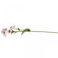 Floristik24 Duży Masterwort Sztuczny kwiat jedwabiu Astrania Biały różowy L61cm