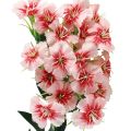 Floristik24 Brodaty goździk sztuczny goździk brzoskwiniowy różowy 52cm