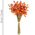 Pęczek pomarańczowych jagód, 20 cm długości | Floristik24.pl