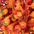 Pęczek pomarańczowych jagód, 20 cm długości | Floristik24.pl