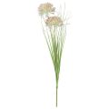 Floristik24 Sztuczny kwiat kulisty Allium ozdobny cebula sztuczny czerwony zielony 90cm