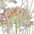 Floristik24 Sztuczny kwiat kulisty Allium ozdobny cebula sztuczny czerwony zielony 90cm
