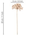 Sztuczna gałązka jagód, dekoracja w kolorze szampańskim, 28 cm, 3 sztuki | Floristik24.pl