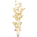Floristik24 Sztuczna dekoracja z gałązek jagód, złota, 70cm, 3 sztuki