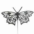 Floristik24 Wtyczka metalowa motylek czarna 10,5×8/44cm 3szt