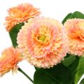 Floristik24 Sztuczna brzoskwinia Daisy w kolorze 24cm 2szt