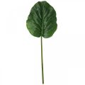 Floristik24 Sztuczna zielona roślina Bergenia Zielona sztuczna roślina 53cm