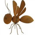 Floristik24 Figura dekoracyjna pszczoła, metalowy owad, dekoracja ogrodowa z patyną dł.20cm wys.19cm