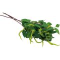 Floristik24 Sztuczne rośliny sztuczne gałęzie dekoracja z gałązek brzozy 65cm 3szt