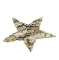 Gwiazdki brzozowe 6cm 100 sztuk | Floristik24.pl