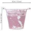 Wiadro blaszane, fioletowo-białe, Ø19cm, wys.17cm, 1 szt. | Floristik24.pl