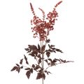 Floristik24 Sztuczny kwiat Astilbe długołodygowa świerk 80cm