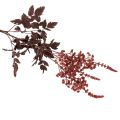 Sztuczny kwiat Astilbe
