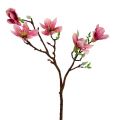 Floristik24 Magnolia mini różowa, różowa L53cm 3szt.