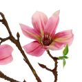 Floristik24 Magnolia mini różowa, różowa L53cm 3szt.