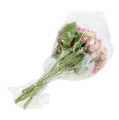 Floristik24 Hortensja różowa ośnieżona 33cm 4szt