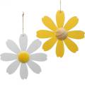 Floristik24 Kwiaty drewniane, dekoracja letnia, stokrotki żółte i białe, kwiaty do powieszenia 4szt.
