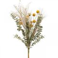 Sztuczne kwiaty Craspedia pióro trawa eukaliptus 55cm pęczek