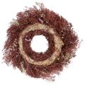 Wianek z kwiatów, wianek z suszonych kwiatów, wino czerwone, różowy, Ø25cm | Floristik24.pl