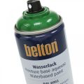 Floristik24 Bezbeltonowa farba na bazie wody o wysokim połysku w sprayu 400ml
