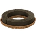 Floristik24 Pierścień z pianki florystycznej OASIS® Renewal® Gąbka florystyczna Biolit® 24 cm 2 szt.