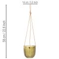 Doniczka szklana/wisząca latarenka, fioletowo-zielona, 14 cm, 2 sztuki | Floristik24.pl