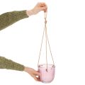 Doniczka szklana/wisząca latarenka, fioletowo-zielona, 14 cm, 2 sztuki | Floristik24.pl