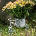 Floristik24 Flowerpot Bicycle Metal Vintage White Washed 24×13×14cm
