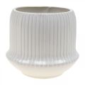 Floristik24 Doniczka ceramiczna z rowkami biała Ø14,5 cm W12,5 cm