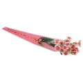 Floristik24 Torebka na kwiaty z sercami różowa Na różę 50cm 50szt
