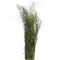 Floristik24 Krzew trawy ozdobnej z gałązkami Kępka suszonej trawy 65×12cm